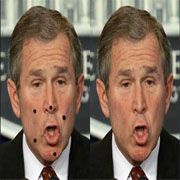 BUSH UN SAKARLIKLARI BOYUNU AŞTI!